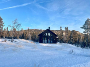 Fjällstugan i Funäsdalen